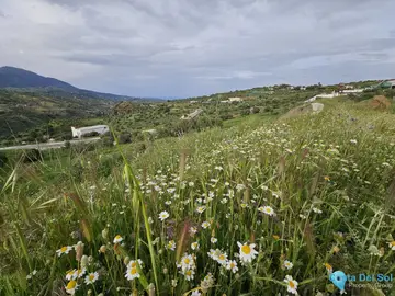 19056m2 Plot for Sale in Tolox-84356