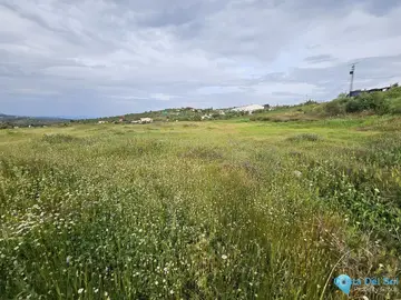 19056m2 Plot for Sale in Tolox-84358