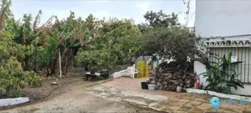 3 bedroom House for Sale in Campo Mijas-84462