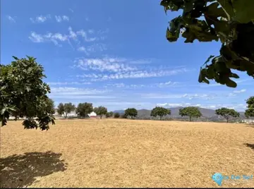 15641m2 Plot for Sale in Mijas-84988