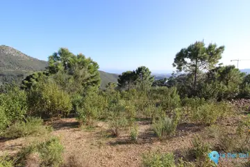 2275m2 Plot for Sale in Benahavís-85254