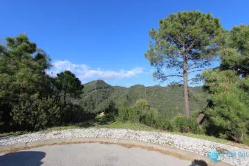 2275m2 Plot for Sale in Benahavís-85264