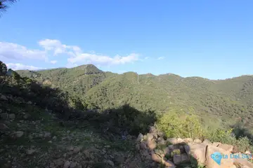 2275m2 Plot for Sale in Benahavís-85266
