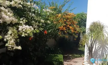 4 bedroom House for Sale in Estepona-20193