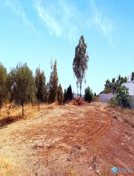 1350m2 Plot for Sale in La Quinta-85862