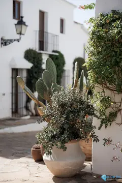 2 bedroom House for Sale in Nueva Andalucía-85993
