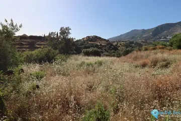 3000m2 Plot for Sale in Mijas-86366