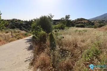 3000m2 Plot for Sale in Mijas-86369