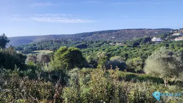 3315m2 Plot for Sale in Sotogrande-86595