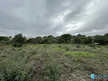 2920m2 Plot for Sale in Sotogrande Alto-87087
