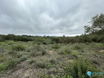 2920m2 Plot for Sale in Sotogrande Alto-87091