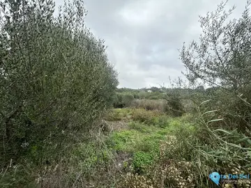 2920m2 Plot for Sale in Sotogrande Alto-87093