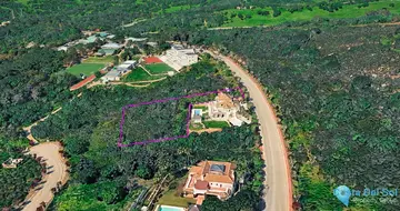 2942m2 Plot for Sale in Sotogrande-87258