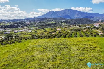 14272m2 Plot for Sale in Estepona-21751