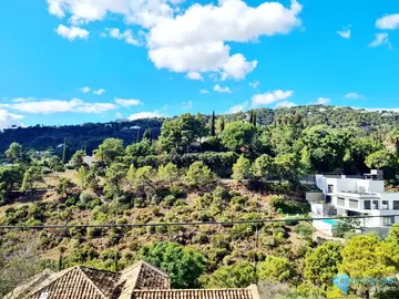 3000m2 Plot for Sale in El Madroñal-21838