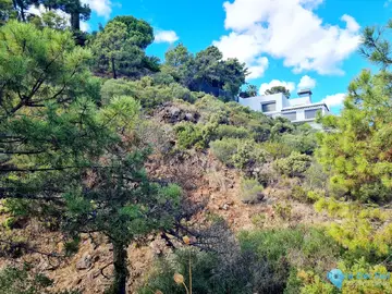 3000m2 Plot for Sale in El Madroñal-21839