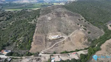 100565m2 Plot for Sale in Manilva-22811