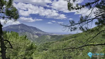 645960m2 Plot for Sale in Coín-23468