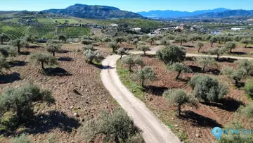 8944m2 Plot for Sale in Alora-23622