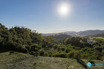 4280m2 Plot for Sale in Benahavís-23906