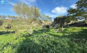 3000m2 Plot for Sale in Sotogrande-216