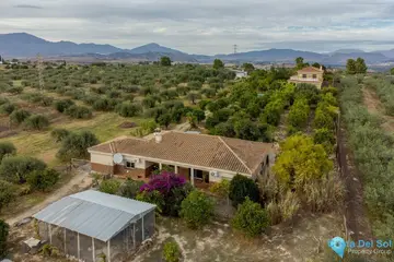 8 bedroom House for Sale in Alhaurín el Grande-24144