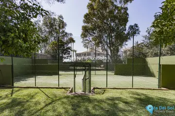 2 bedroom Apartment for Sale in Río Real-82536