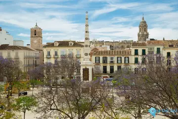 5 bedroom Apartment for Sale in Málaga-24721