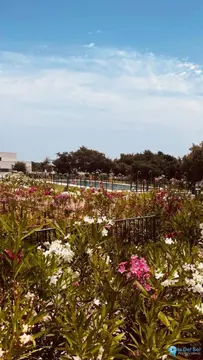 5 bedroom Apartment for Sale in Sotogrande-25085