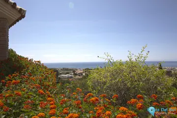 6 bedroom House for Sale in Estepona-25719