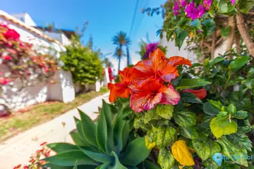 3 bedroom House for Sale in Estepona-26355