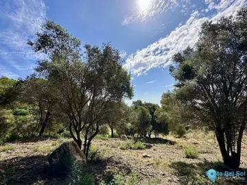 3455m2 Plot for Sale in Sotogrande-26417
