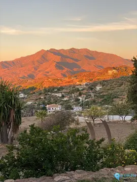 5 bedroom House for Sale in Mijas-88366