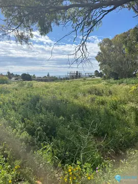 1401m2 Plot for Sale in Cancelada-26624
