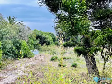 1187m2 Plot for Sale in Estepona-26667