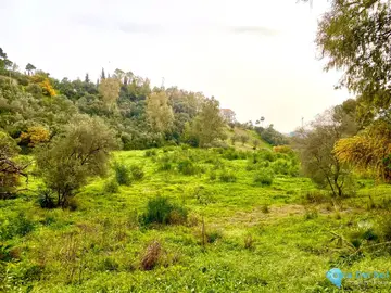 5185m2 Plot for Sale in Benahavís-27730