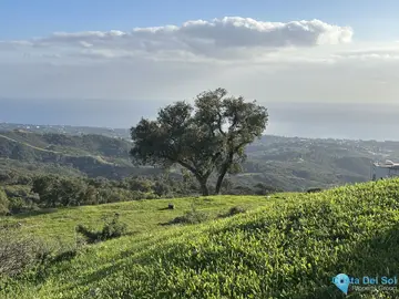 34000m2 Plot for Sale in La Mairena-27813