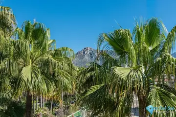 2 bedroom Apartment for Sale in Nagüeles-28826