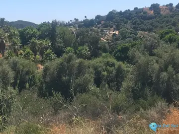 27265m2 Plot for Sale in Estepona-28915