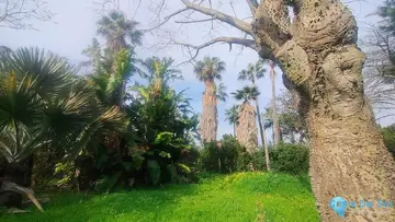 1933m2 Plot for Sale in Hacienda Las Chapas-29612