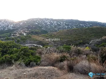 5 bedroom House for Sale in Casares-31126