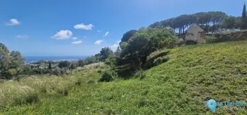 17340m2 Plot for Sale in Mijas-31117