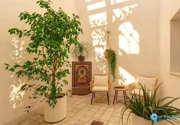 4 bedroom House for Sale in Estepona-31431