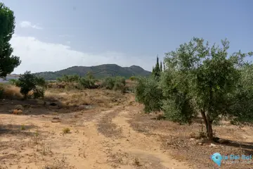 25510m2 Plot for Sale in Alhaurín de la Torre-32367