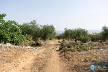 25510m2 Plot for Sale in Alhaurín de la Torre-32370