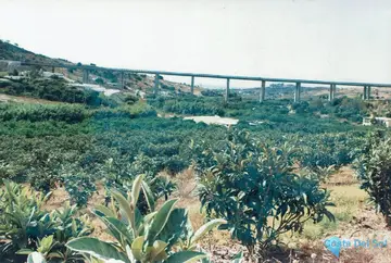30000m2 Plot for Sale in Estepona-32372