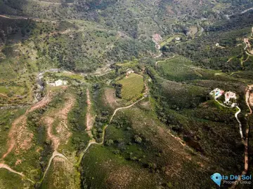 590195m2 Plot for Sale in Estepona-32492