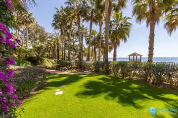 3 bedroom Apartment for Sale in The Golden Mile-34749