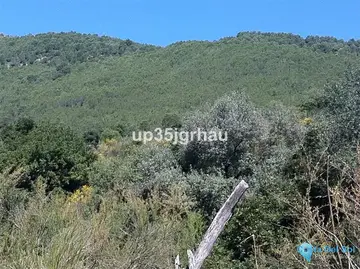 360000m2 Plot for Sale in Gaucín-37493