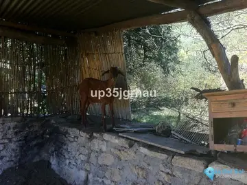 360000m2 Plot for Sale in Gaucín-37483